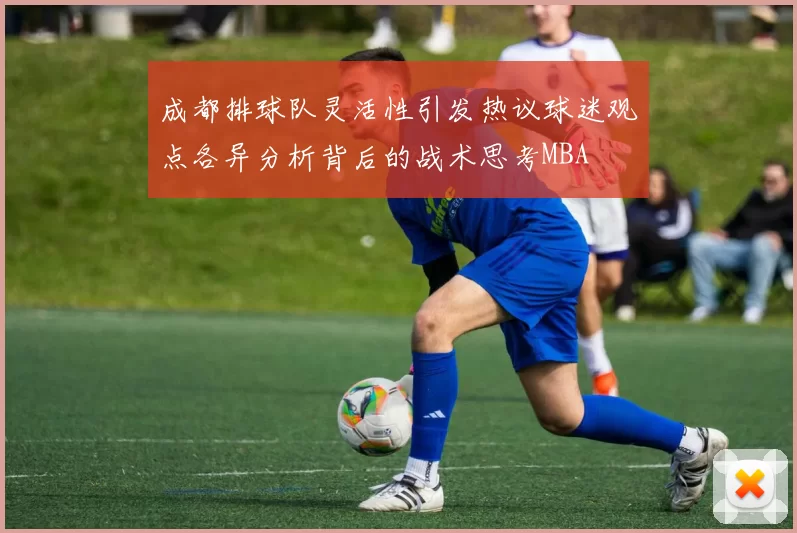 成都排球队灵活性引发热议球迷观点各异分析背后的战术思考MBA