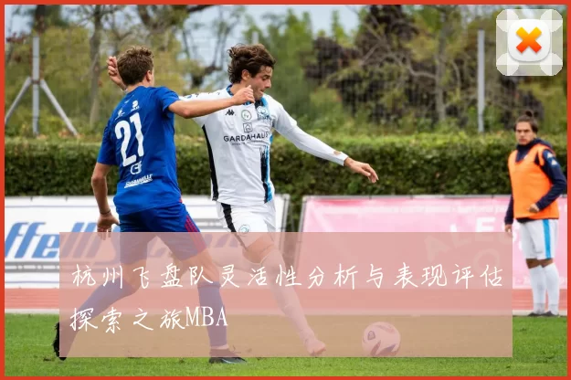 杭州飞盘队灵活性分析与表现评估探索之旅MBA
