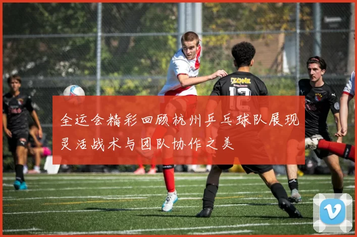 全运会精彩回顾杭州乒乓球队展现灵活战术与团队协作之美