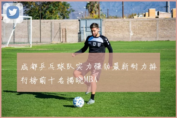 成都乒乓球队实力强劲最新耐力排行榜前十名揭晓MBA