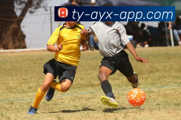 爱游戏体育平台生态图