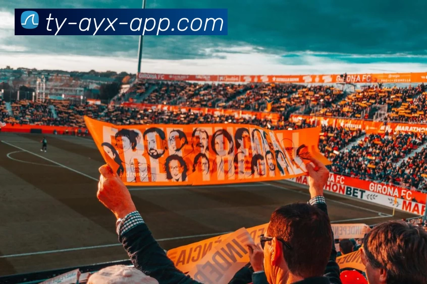 爱游戏体育APP 封面图